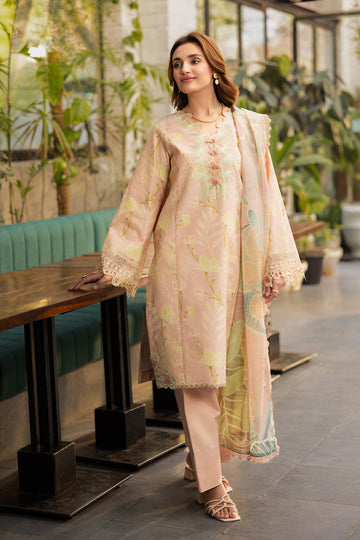 Rang Rasiya Ivy Online Shopping
